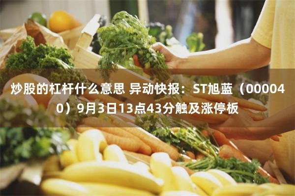 炒股的杠杆什么意思 异动快报：ST旭蓝（000040）9月3日13点43分触及涨停板