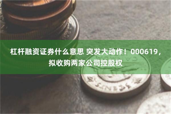 杠杆融资证券什么意思 突发大动作！000619，拟收购两家公司控股权