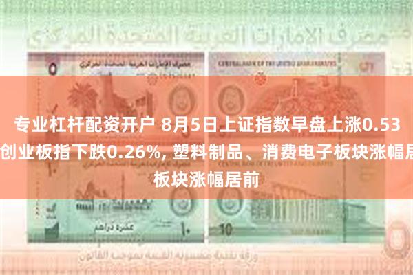 专业杠杆配资开户 8月5日上证指数早盘上涨0.53%, 创业板指下跌0.26%, 塑料制品、消费电子板块涨幅居前